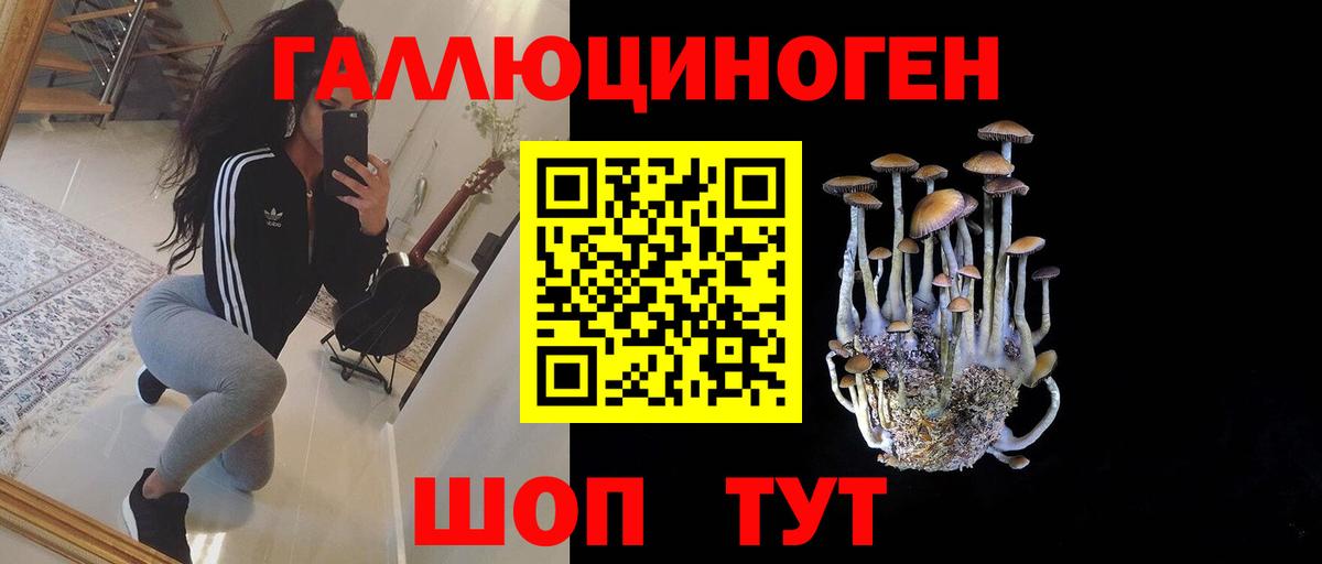 Псилоцибиновые грибы Magic Shrooms  Галлюциногенные грибы Psilocybine cubensis  Гагарин  Вход с VPN 